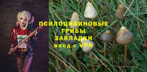 стафф Белоозёрский