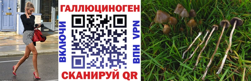 Галлюциногенные грибы мицелий  Мензелинск 
